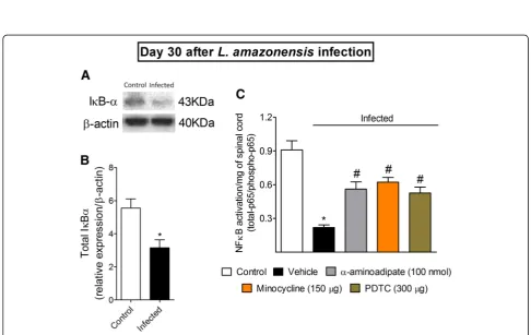 Fig. 8 L. amazonensis i.pl. infection induces CX3CL1 mRNA expression in the ipsilateral DRG, and i.t