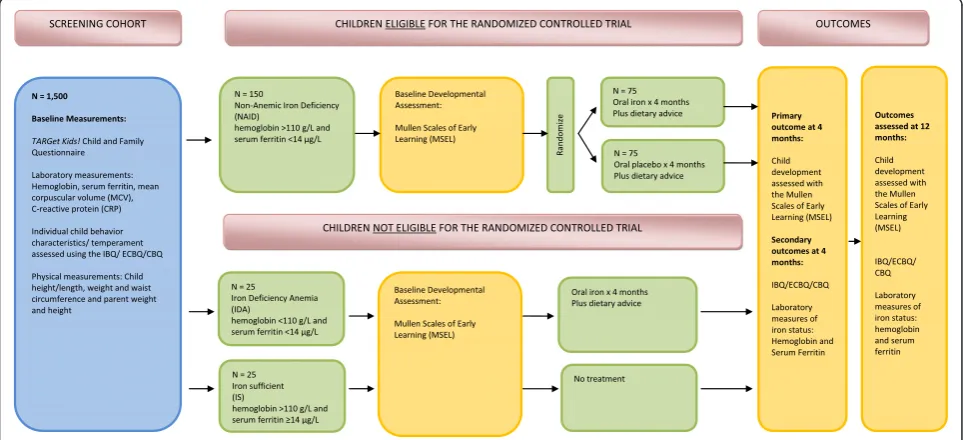 Figure 1 Study schematic of the ‘Optimizing Early Child Development in the Primary Care Physician Practice Setting: PragmaticRandomized Trial of Iron Treatment for Young Children with Non-Anemic Iron Deficiency’ (OptEC) trial