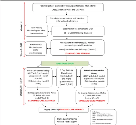 Fig. 1 The EMPOWER trial algorithm presented illustrates the patient pathway and the time points of assessments and intervention as part ofthe trial