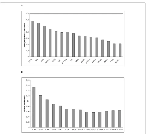 Figure 1 GeNorm analysis of the candidate reference genes. (A) Average expression stability values of reference genes