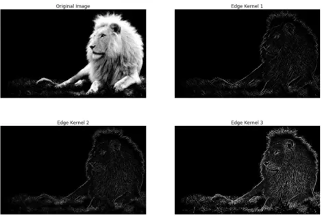 Figure 2.7: Convolution Filters [7]