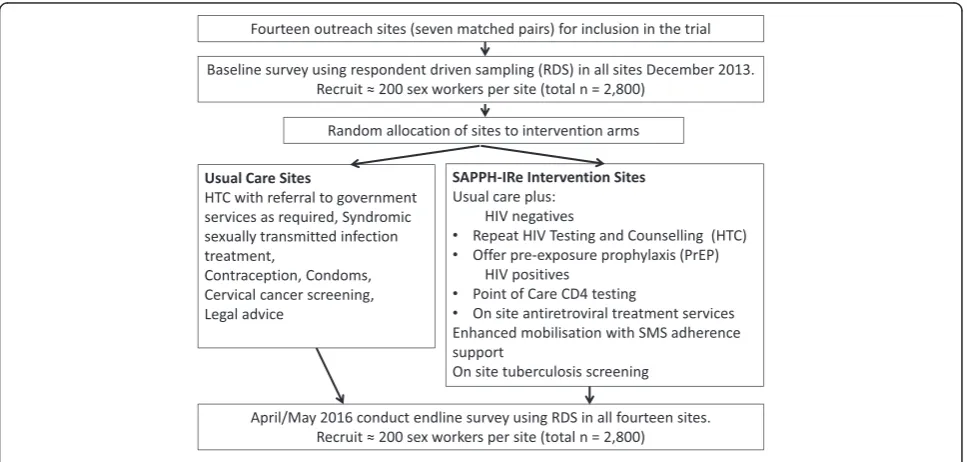 Fig. 1 Summary of trial design