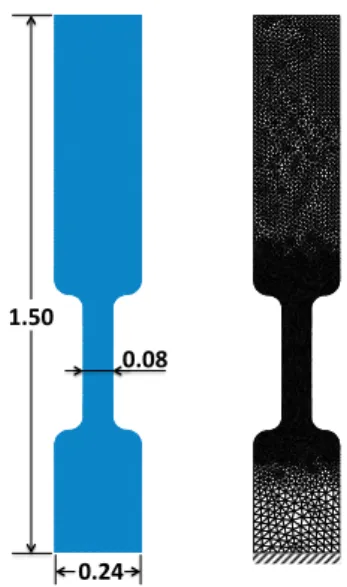 Figure 5: Sketch for the neo-Hookean hyperelastic solid in 2D (left) and the mesh used to compute the elastodynamics (right)