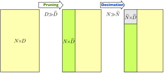 Figure 1: Sketch illustrating the pruning and decimation procedures to reduce the memory requirements and computing time of NLDR