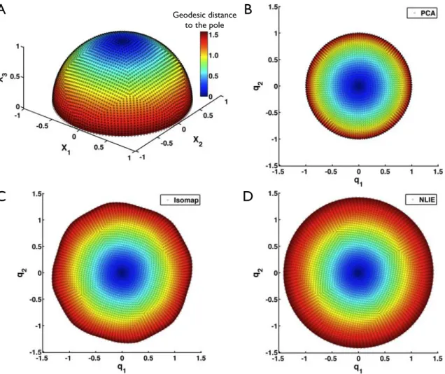 Figure 3: Dimensionality reduction example from D = 3 to d = 2. (A) Scattered set of points uniformly sampling a hemisphere