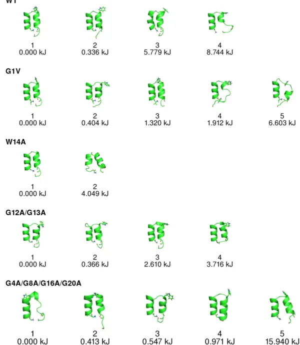 Figure 5.  Kinetic basins computed from the BE-META simulations of the WT peptide and its mutants in  a DMPC membrane