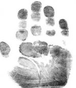 Figure 7.  Ear based biometric authentication system  