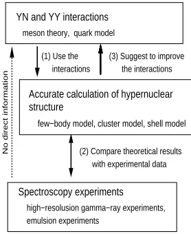 Fig. 1. Strategy for extracting information about Y N andY Y interactions from the study of the structure of lighthypernuclei
