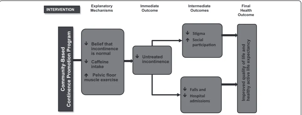 Fig. 1 Logic model for the Continence Across Continents To Upend Stigma and Dependency (CACTUS-D) trial