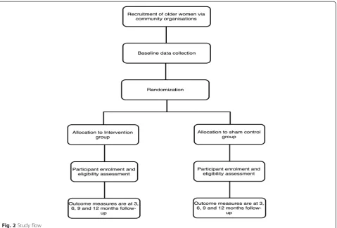 Fig. 2 Study flow