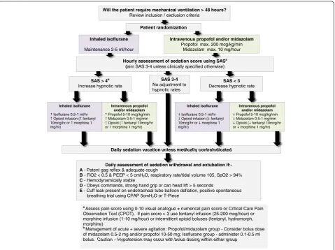 Fig. 2 Sedation - analgesia algorithm