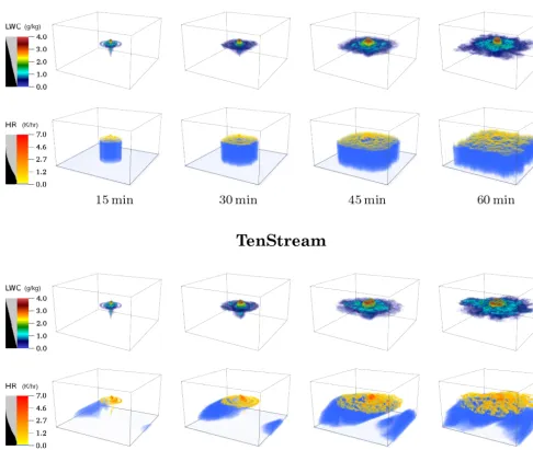 Figure 2. Volume-rendered perspective on liquid water content and solar atmospheric heating rates of the warm-bubble experiment (initial-ized without horizontal wind)