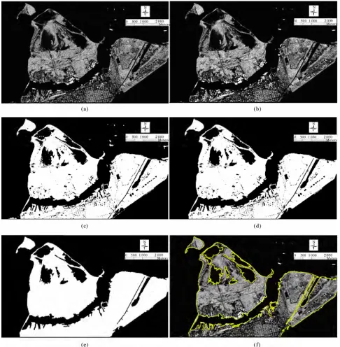 Figure 5. Shoreline extraction from Radarsat SAR image. (a) Original SAR image; (b) After applying Lee Sigma filter and anisotropic diffusion operation; (c) thresholding result; (d) After removal of small and noisy water objects with a threshold 