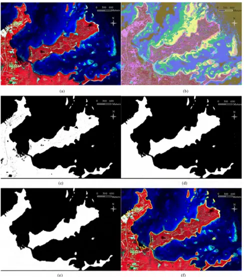 Figure 6. Shoreline extraction from multi-spectral QuickBird imagery. (a) Multi-spectral QuickBird image; (b) classification result (12 classes); (c) Recoding result; (d) After removal of small and noisy land objects with a threshold value of 100 pixels; 