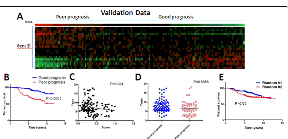 Figure 1 Our 20-gene signature separates the training data set into poor-prognosis and good-prognosis groups (A, red = highexpression, green = low expression) with differences in survival (B), a negative correlation between prognosis score and survival time(C) and differences in mean survival time (D).