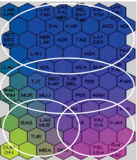 Figure 1. A prior cluster information using distance measure and distinct coloring of the SOM