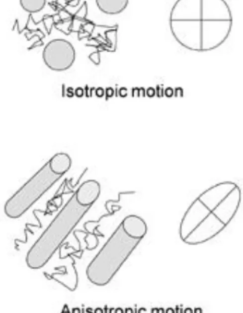 Figure 1.3 Schematic of the basic principles underlying DTI: isotropy and anisotropy of water motion  in tissue