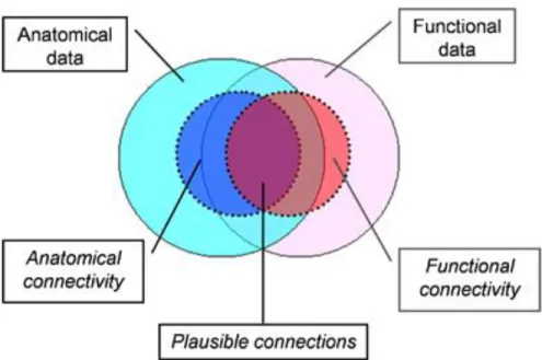 Figure 1.1 Venn diagram showing the studies combining functional and anatomical data, with focus  on  anatomical  and  functional  connectivity  data