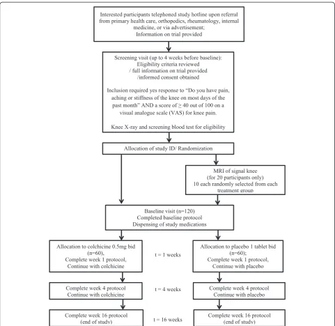 Figure 1 Flow chart of the study. ID, identification; MRI, magnetic resonance imaging; bid, twice per day.