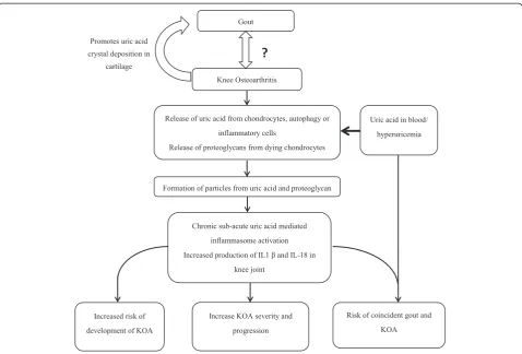 Figure 2 Schematic diagram showing interaction of osteoarthritis (OA) and uric acid. Adapted from Denoble et al