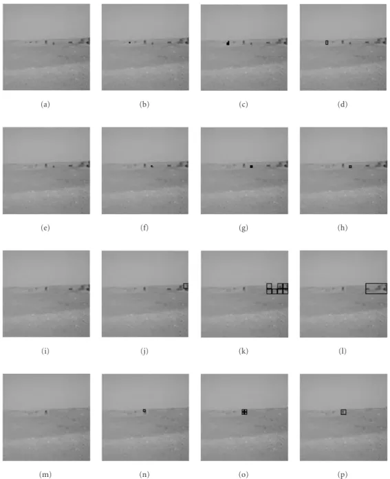Figure 11: Non-man-made multitarget detection results. (a) Original image having more animals