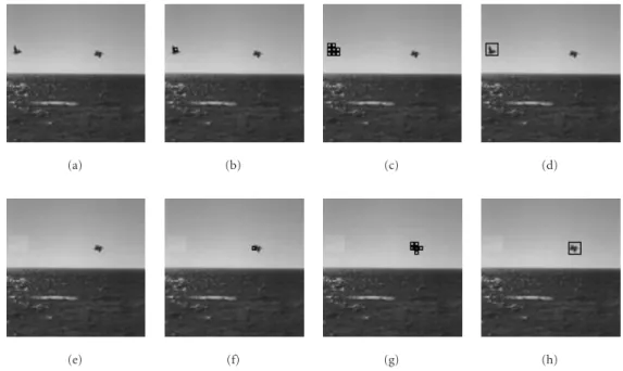Figure 9: Non-man-made two-target detection results. (a) Original image having two birds