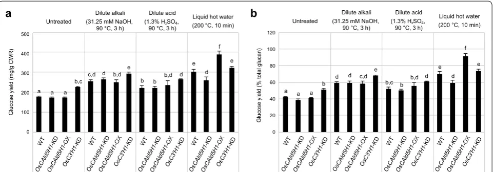 Fig. 4 The enzymatic saccharification efficiency of transgenic rice cell walls. Glucose yields from cell walls after 24 h enzymatic hydrolysis are shown