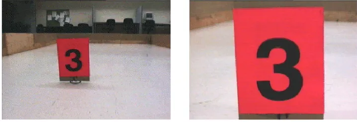 Figure 4: Images with normal and maximum resolution captured by the robot.