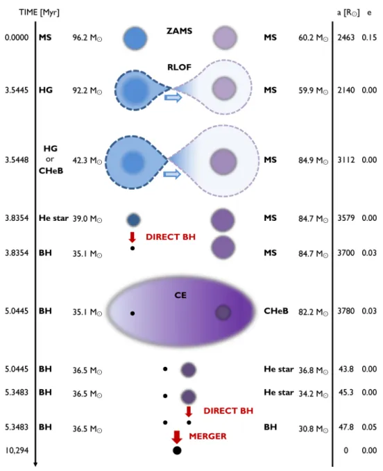 Figure 1.1 After the formation of a binary containing two massive stars, the pair experiences stable mass transfer through the overflow of the Roche lobe for the system