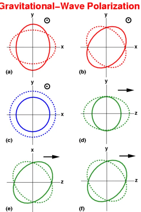 Figure 1.4 The six polarisation modes allowed in any metric theory of gravity for waves travelling in the +z direction