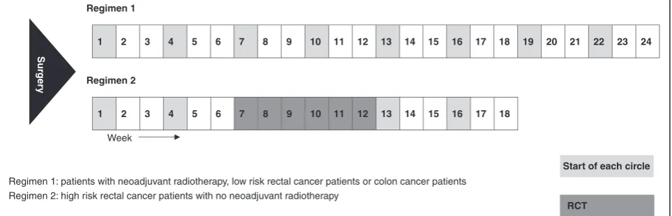 Fig. 2 Treatment regimen. RCT, radiochemotherapy