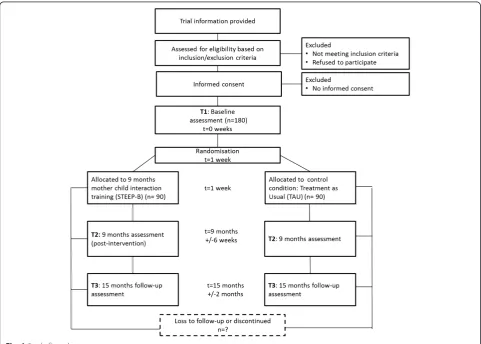 Fig. 1 Study flow chart