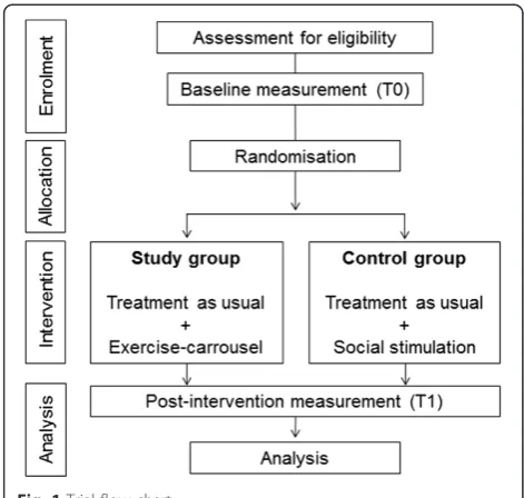 Fig. 1 Trial flow chart