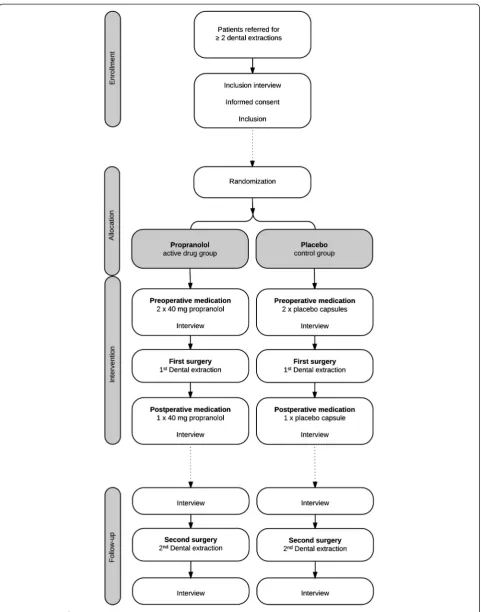 Fig. 1 Flow-chart of study procedures