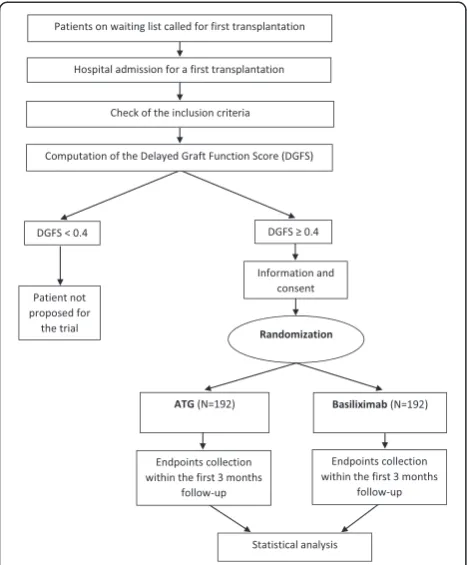 Fig. 1 Preventing delayed graft function by driving immunosuppressiveinduction treatment (PREDICT-DGF) study: description of the study.This randomized trial aims to compare anti-thymocyte globulin(ATG)-treated patients in parallel with a control group trea