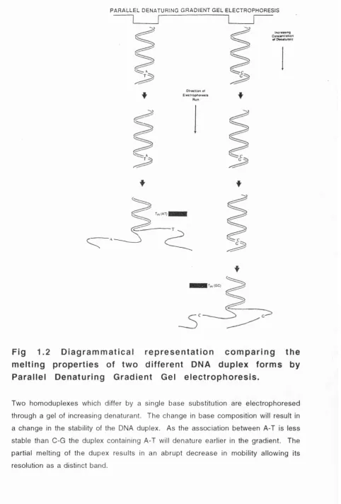 Fig 1.2 