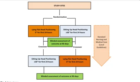 Fig. 1 Trial schema