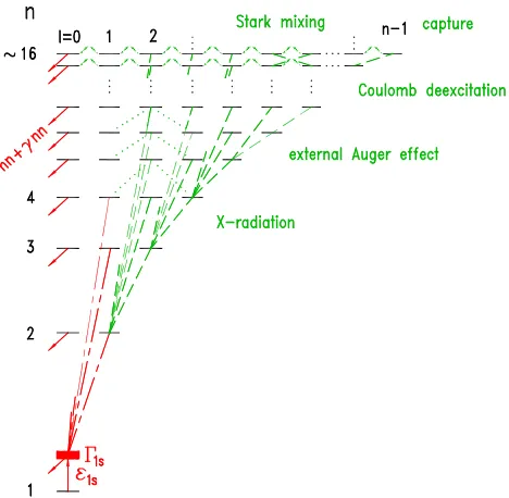 Fig. 2. Prediction for the kinetic energy distribution of theatom at the instant of (3 πHp − 1s) transition scaled to the kinemat-ics of the πD system for a density of 10 bar equivalent