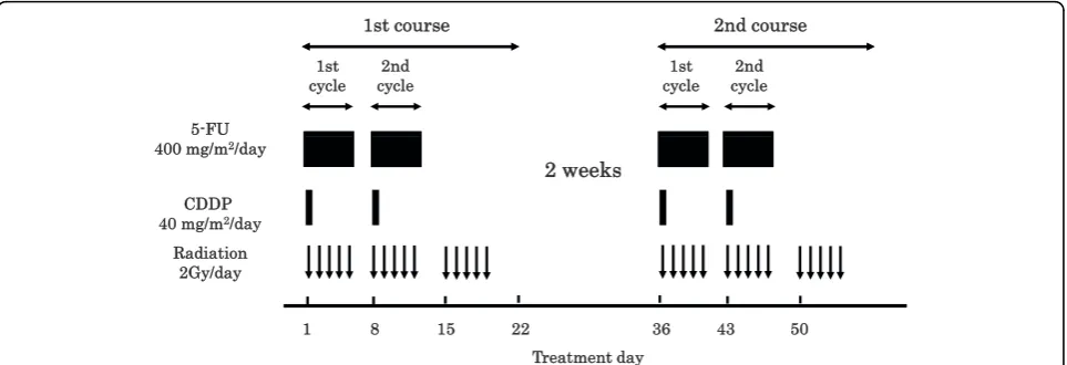 Figure 1 Protocol of a definitive 5-fluorouracil/cisplatin-based chemoradiotherapy. One course of treatment consisted of protractedvenous infusions of 5-FU (400 mg/m2/day, days 1-5 and 8-12) and CDDP (40 mg/m2/day, days 1 and 8), and radiation (2 Gy/day, days 1-5, 8-12,and 15-19), with a second course (days 36-56) repeated after a 2-week interval.