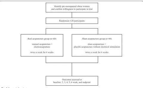 Fig. 1 The study flowchart