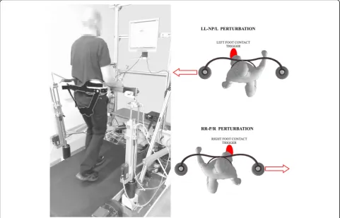 Fig. 1 Photo of an individual post-stroke walking on an instrumented treadmill while being embraced by the BAR-TM perturbing device; computerscreen shows the middle of the BAR-TM working space as well as the current position and orientation of the pelvis i