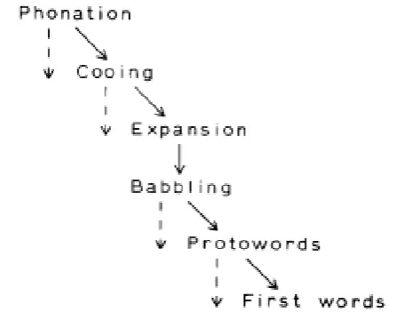 Figure 1.3. Stages of speech development in the first year of life, the dashed lines represent 