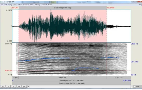 Figure 2.1. Visualisation of the measurement of vocal segment duration . The cursors were 