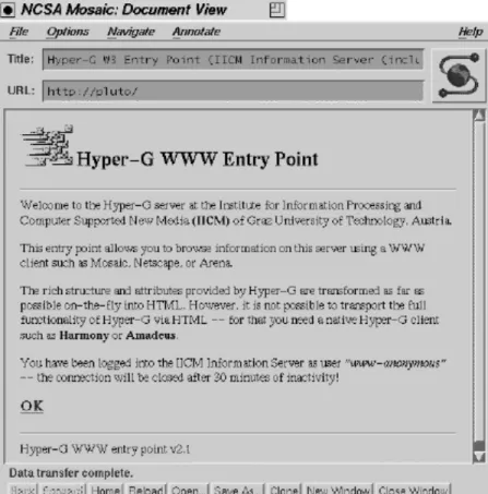 Figure 4.8: Entry page (displayed with Mosaic)
