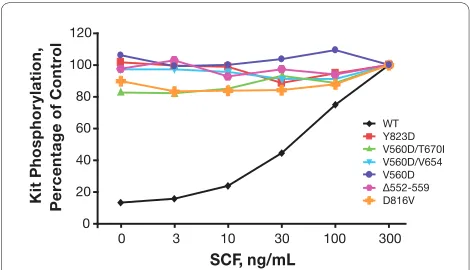 Figure 2 Effect of stem cell factor (SCF) treatment on tyrosine phosphorylation of wild-type Kit and mutant Kit isoforms stably expressed in Chinese hamster ovary cells