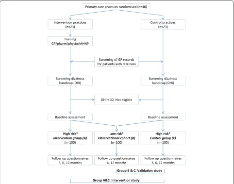 Fig. 1 Flow chart of the study. * High risk or low risk of chronic dizziness with persistent impairment