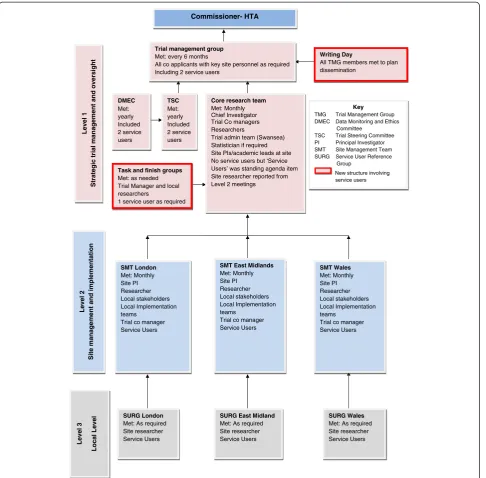Fig. 1 Overall management flowchart of Support and Assessment for Fall Emergency Referrals (SAFER 2) showing structures where service userswere involved