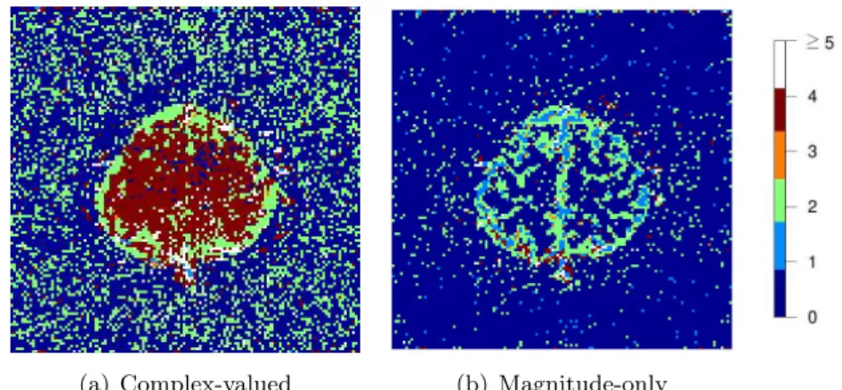 Figure 2.7 Images of the detected AR orders under (a) complex-valued and (b) magni- magni-tude-only data approaches for the finger-tapping dataset, using the LRT statistic with FDR thresholding at a q ∗ = 0.05 level.