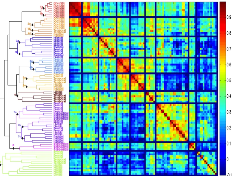 Fig. 5. Correlation matrix and corresponding clusters for TA activity-inducing signal