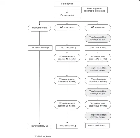 Table 1 Categories of glycaemic control used for this trial